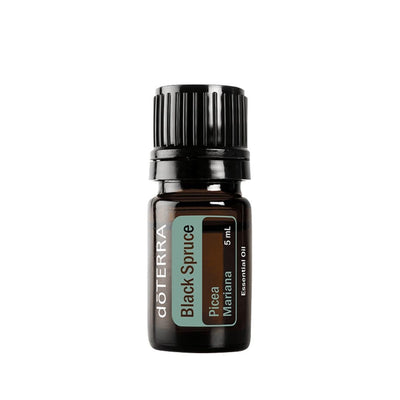 Black Spruce Essential Oil by doTERRA (Picea mariana) - 5mL - DoTerra Essential Oils