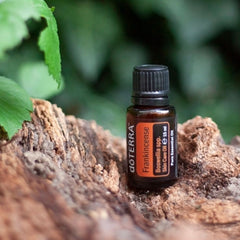 Frankincense Essential Oil by doTERRA (Boswellia carterii, sacra, papyrifera, and frereana) 15mL - DoTerra Essential Oils