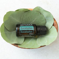 Eucalyptus Essential Oil by doTERRA (Eucalyptus spp.) - 15mL